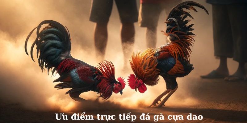 Điểm hấp dẫn của bộ môn này là thời gian diễn ra nhanh