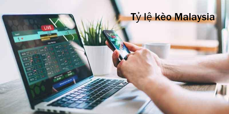 Tỷ lệ kèo Malaysia là cách thức hiển thị odds