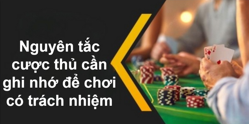 Tuân theo 2+ nguyên tắc chơi có trách nhiệm